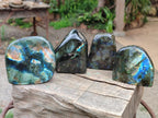 Polished Labradorite Standing Display Pieces x 4 From Madagascar