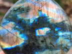 Polished Labradorite Standing Display Pieces x 4 From Madagascar