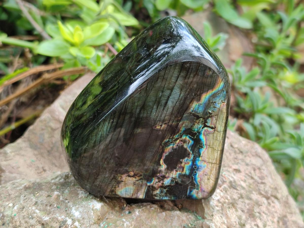Polished Labradorite Standing Display Pieces x 4 From Madagascar