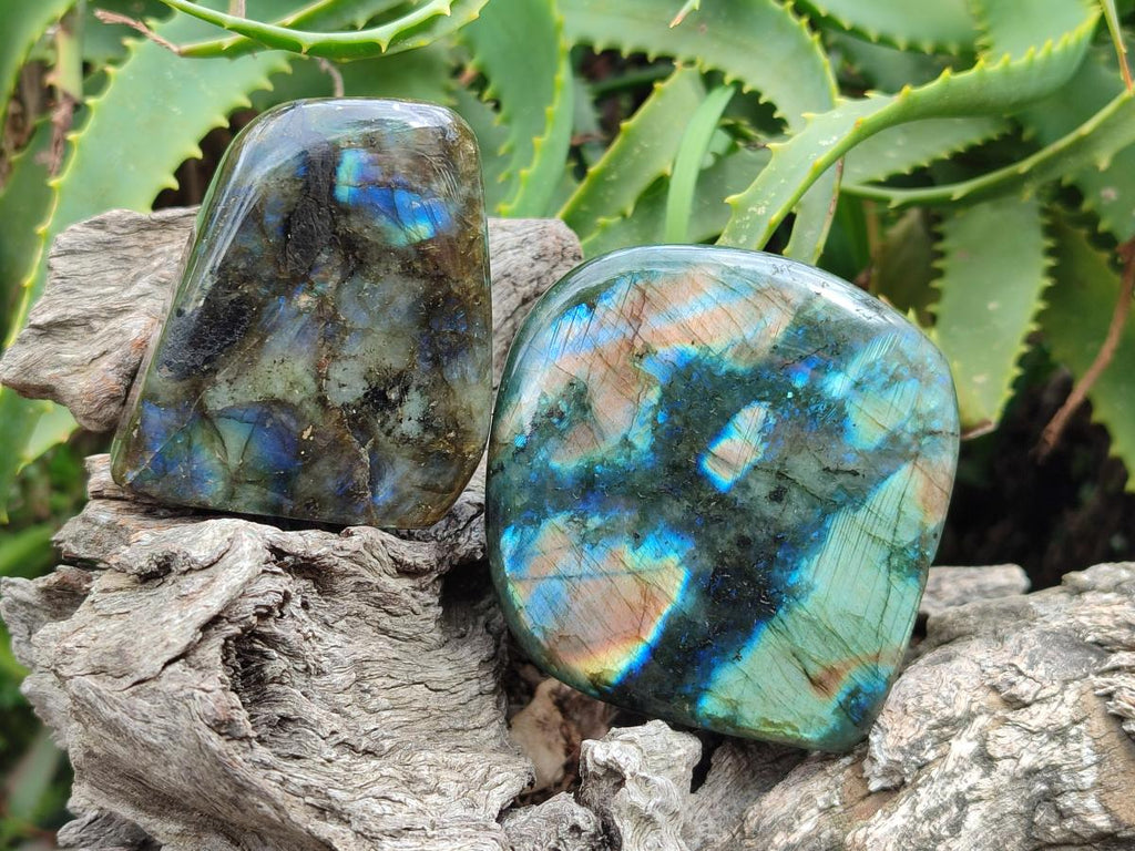 Polished Labradorite Standing Display Pieces x 4 From Madagascar
