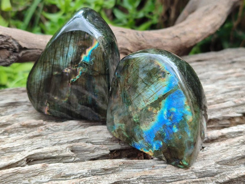 Polished Labradorite Standing Display Pieces x 4 From Madagascar