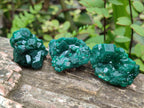 Natural Dioptase Specimens on Dolomite Matrix x 12 From Tantara Mine, Congo