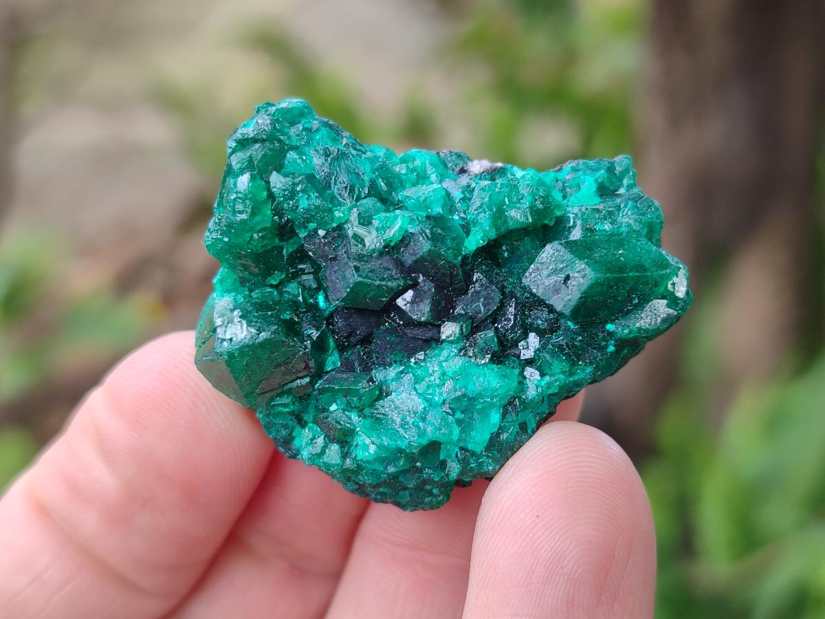 Natural Dioptase Specimens on Dolomite Matrix x 12 From Tantara Mine, Congo