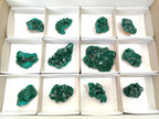 Natural Dioptase Specimens on Dolomite Matrix x 12 From Tantara Mine, Congo