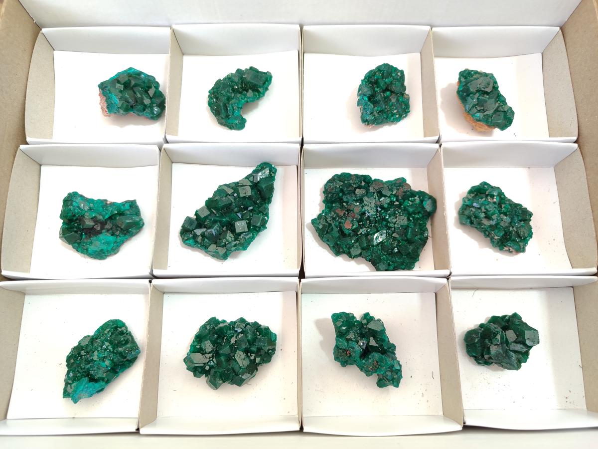 Natural Dioptase Specimens on Dolomite Matrix x 12 From Tantara Mine, Congo