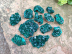 Natural Dioptase Specimens on Dolomite Matrix x 12 From Tantara Mine, Congo