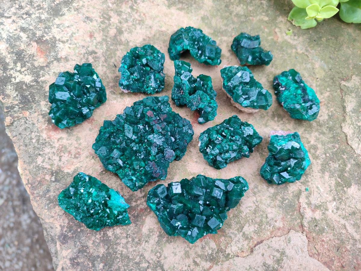 Natural Dioptase Specimens on Dolomite Matrix x 12 From Tantara Mine, Congo