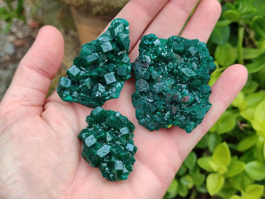 Natural Dioptase Specimens on Dolomite Matrix x 12 From Tantara Mine, Congo
