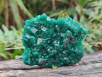 Natural Dioptase Specimens on Dolomite Matrix x 12 From Tantara Mine, Congo
