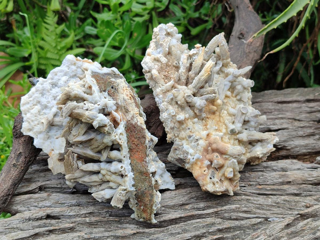 Natural Drusy Coated Calcite Sceptre Pseudomorph Clusters x 2 From Albert's Mountain, Lesotho