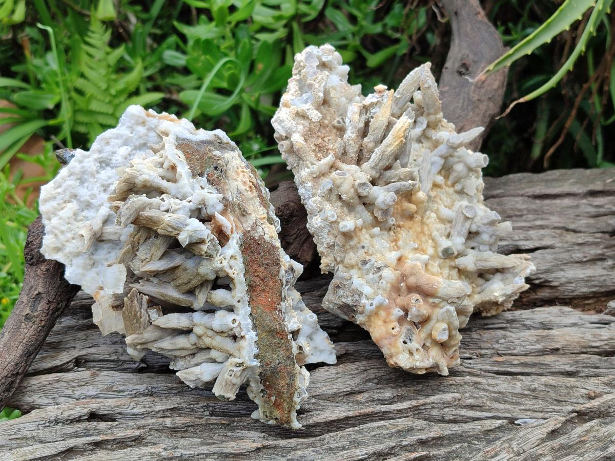 Natural Drusy Coated Calcite Sceptre Pseudomorph Clusters x 2 From Albert's Mountain, Lesotho