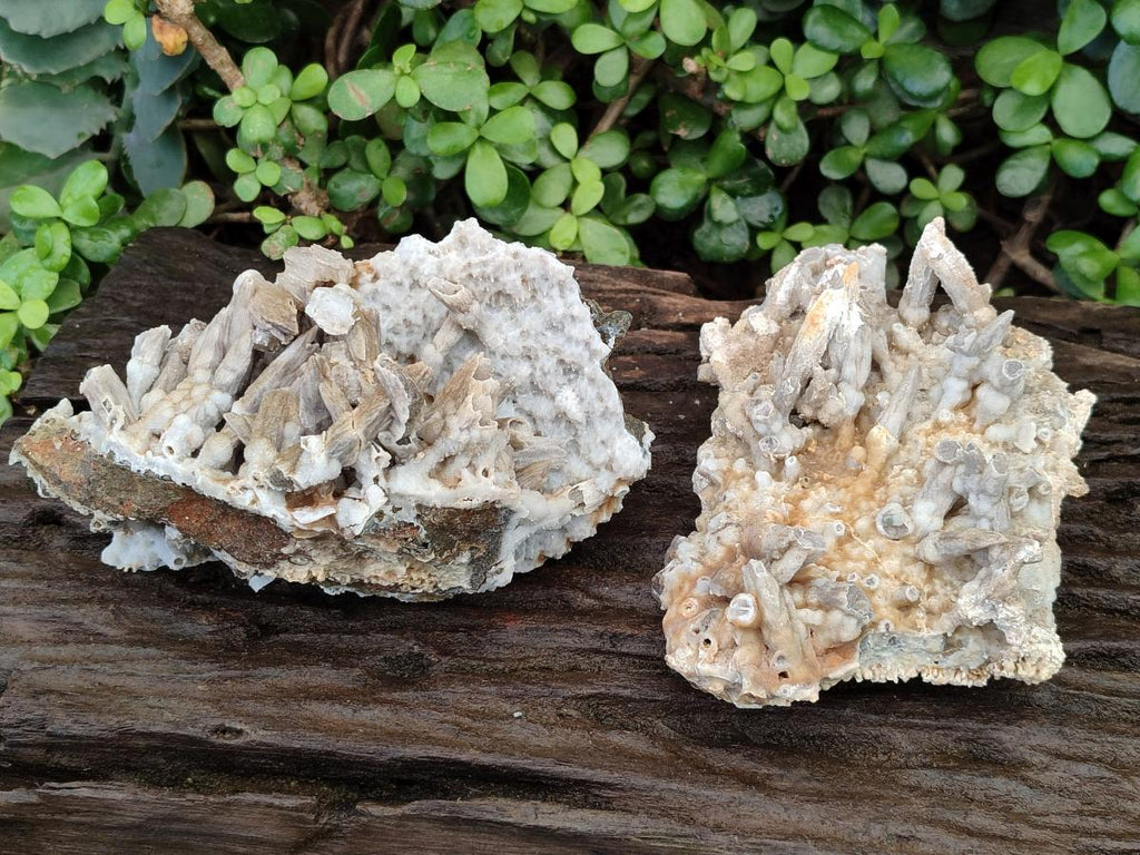 Natural Drusy Coated Calcite Sceptre Pseudomorph Clusters x 2 From Albert's Mountain, Lesotho