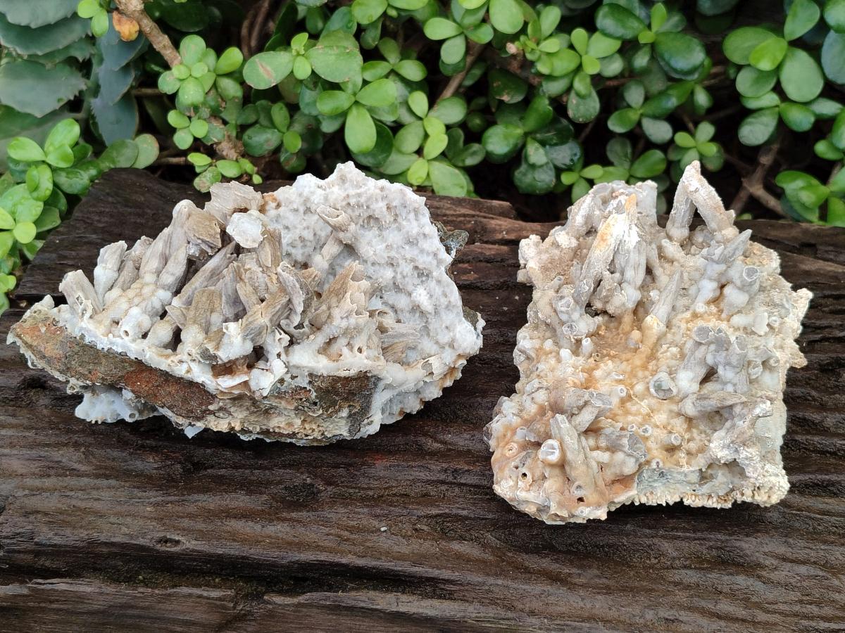 Natural Drusy Coated Calcite Sceptre Pseudomorph Clusters x 2 From Albert's Mountain, Lesotho