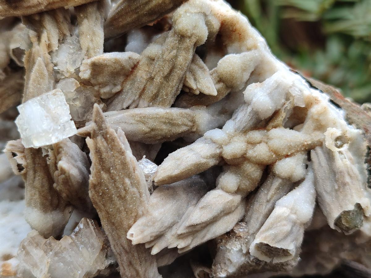 Natural Drusy Coated Calcite Sceptre Pseudomorph Clusters x 2 From Albert's Mountain, Lesotho
