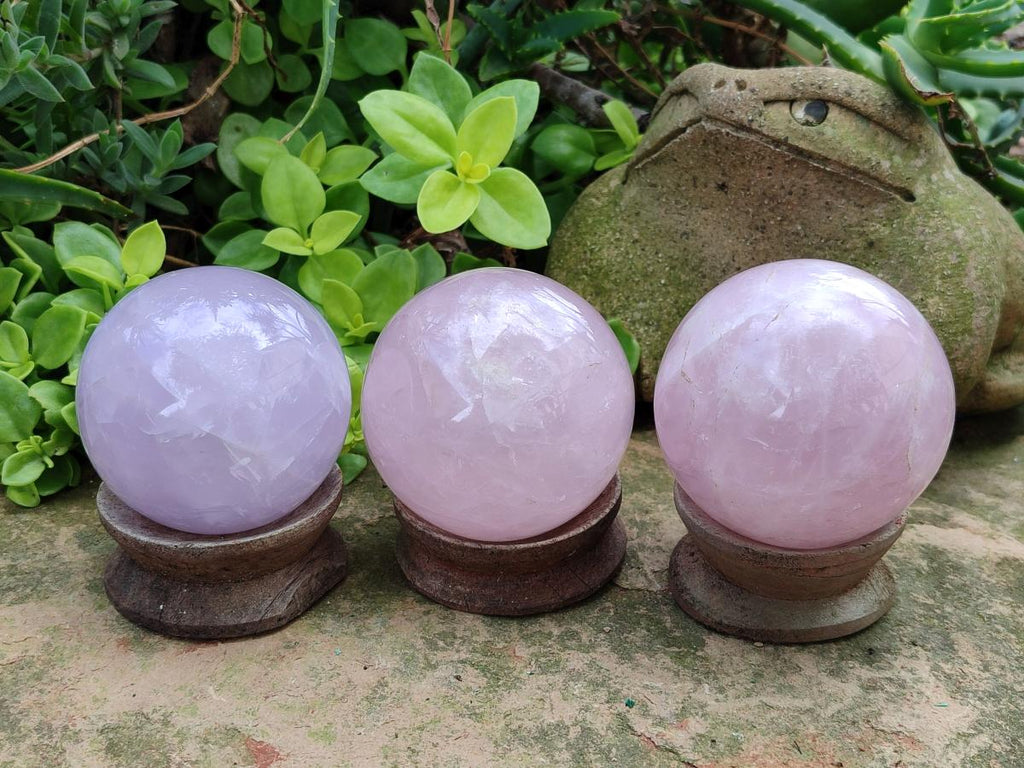 Polished Gemmy Rose Quartz Spheres x 3 From Madagascar