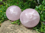 Polished Gemmy Rose Quartz Spheres x 3 From Madagascar
