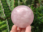 Polished Gemmy Rose Quartz Spheres x 3 From Madagascar