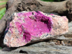 Natural Salrose Cobaltoan Dolomite Specimens with Heterogenite x 6 From Kakanda, Congo