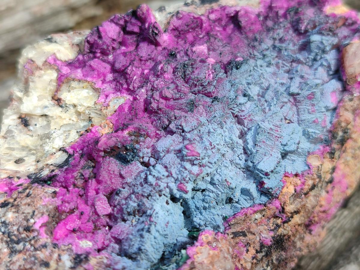 Natural Salrose Cobaltoan Dolomite Specimens with Heterogenite x 6 From Kakanda, Congo