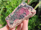 Natural Salrose Cobaltoan Dolomite Specimens with Heterogenite x 6 From Kakanda, Congo