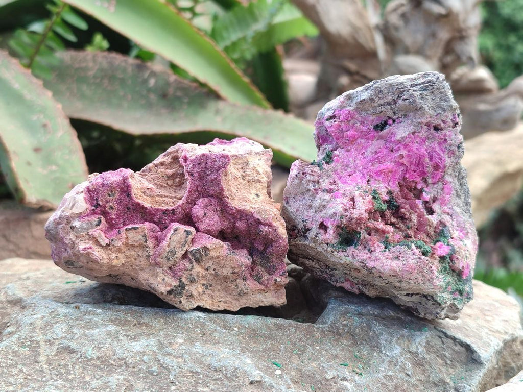 Natural Salrose Cobaltoan Dolomite Specimens with Heterogenite x 6 From Kakanda, Congo