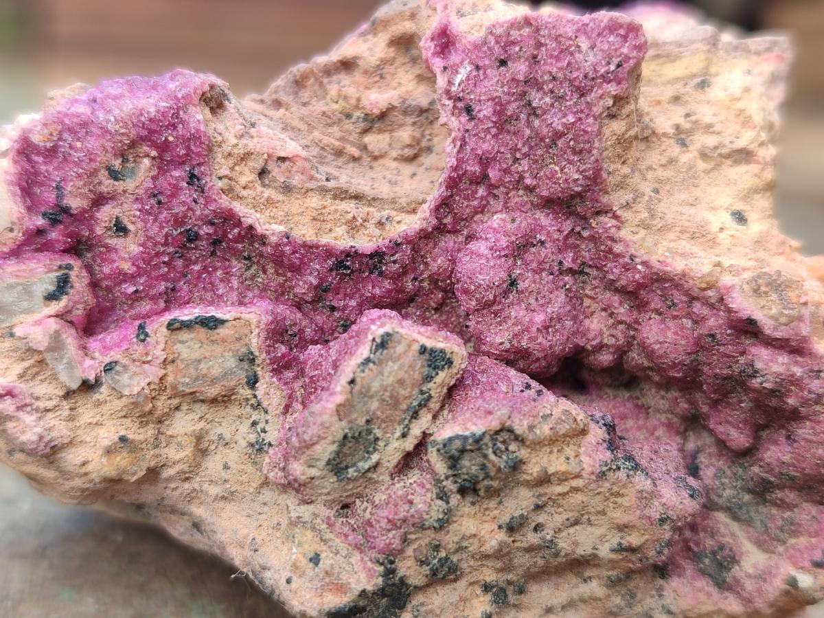 Natural Salrose Cobaltoan Dolomite Specimens with Heterogenite x 6 From Kakanda, Congo