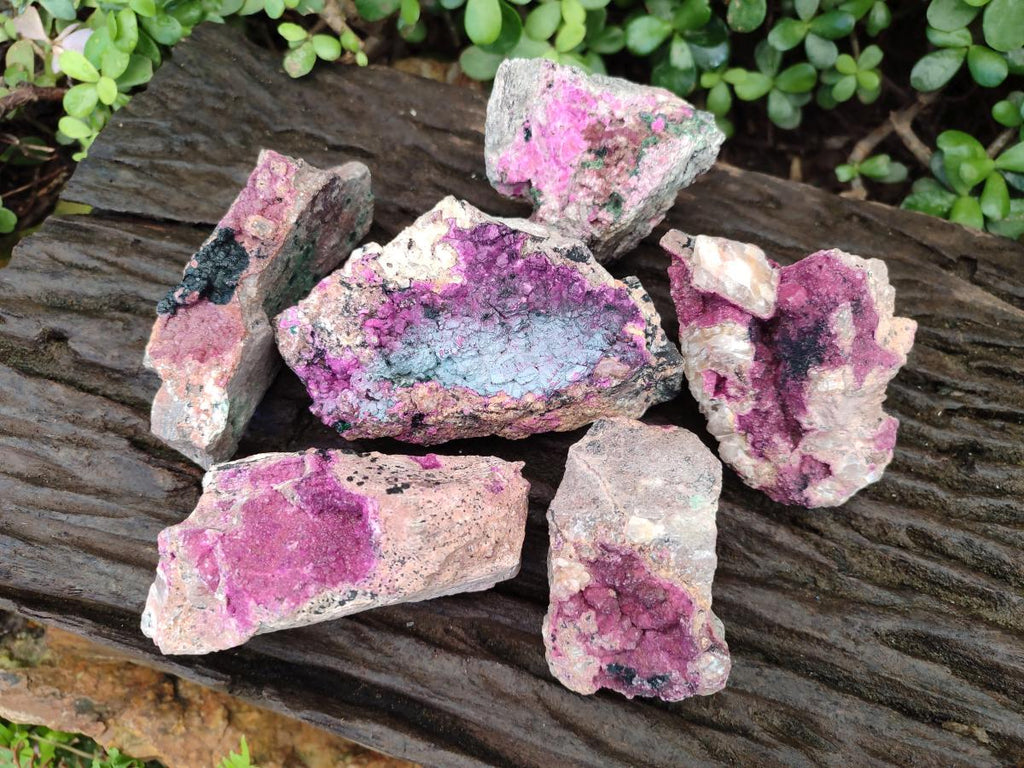 Natural Salrose Cobaltoan Dolomite Specimens with Heterogenite x 6 From Kakanda, Congo