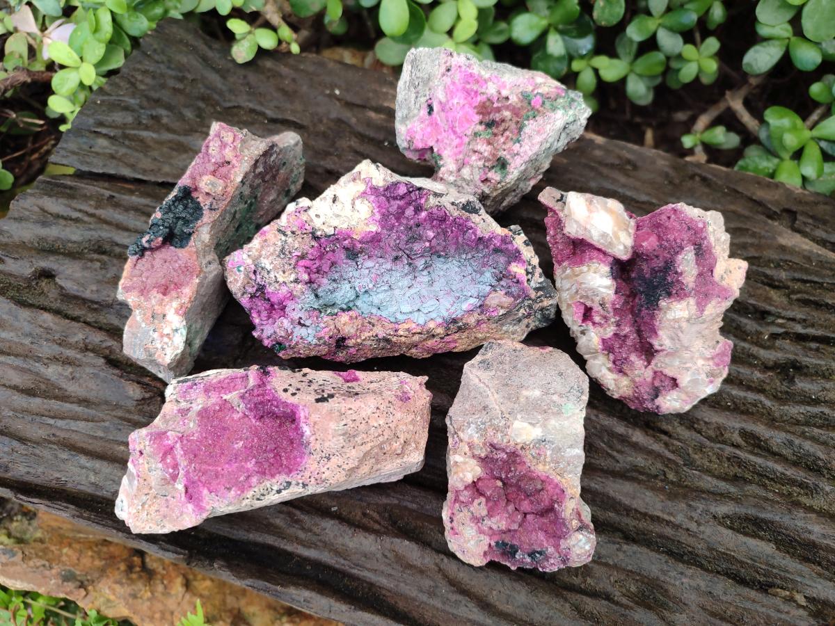 Natural Salrose Cobaltoan Dolomite Specimens with Heterogenite x 6 From Kakanda, Congo