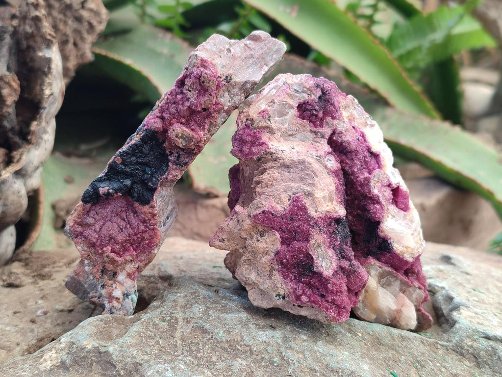 Natural Salrose Cobaltoan Dolomite Specimens with Heterogenite x 6 From Kakanda, Congo