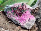 Natural Salrose Cobaltoan Dolomite Specimens with Heterogenite x 6 From Kakanda, Congo