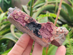 Natural Salrose Cobaltoan Dolomite Specimens with Heterogenite x 6 From Kakanda, Congo