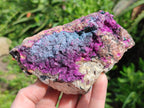 Natural Salrose Cobaltoan Dolomite Specimens with Heterogenite x 6 From Kakanda, Congo