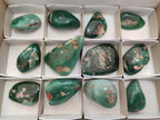 Polished and Natural Mtorolite Palm Stones x 12 From Mutorashanga, Zimbabwe