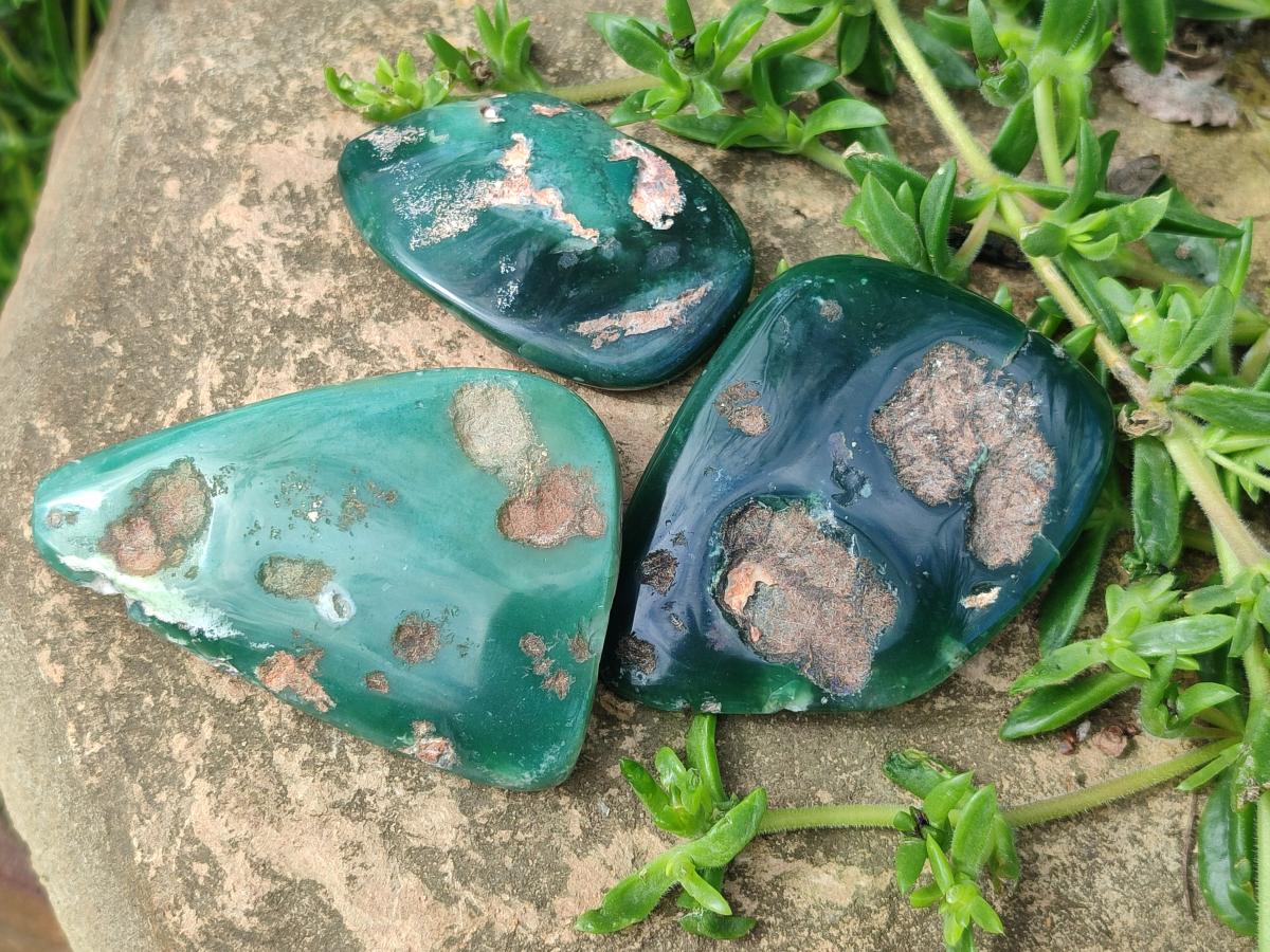 Polished and Natural Mtorolite Palm Stones x 12 From Mutorashanga, Zimbabwe