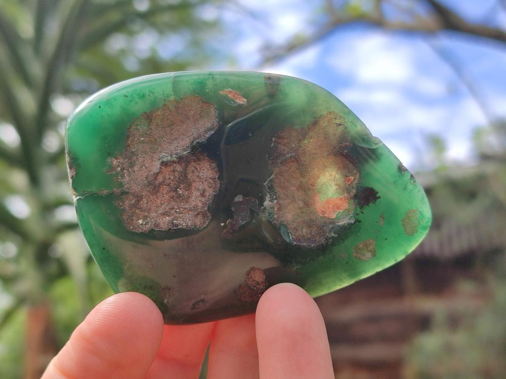 Polished and Natural Mtorolite Palm Stones x 12 From Mutorashanga, Zimbabwe