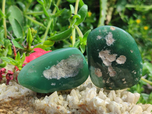 Polished and Natural Mtorolite Palm Stones x 12 From Mutorashanga, Zimbabwe