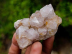 Natural Mix of Spirit Quartz Crystals x 35 From Boekenhouthoek, South Africa