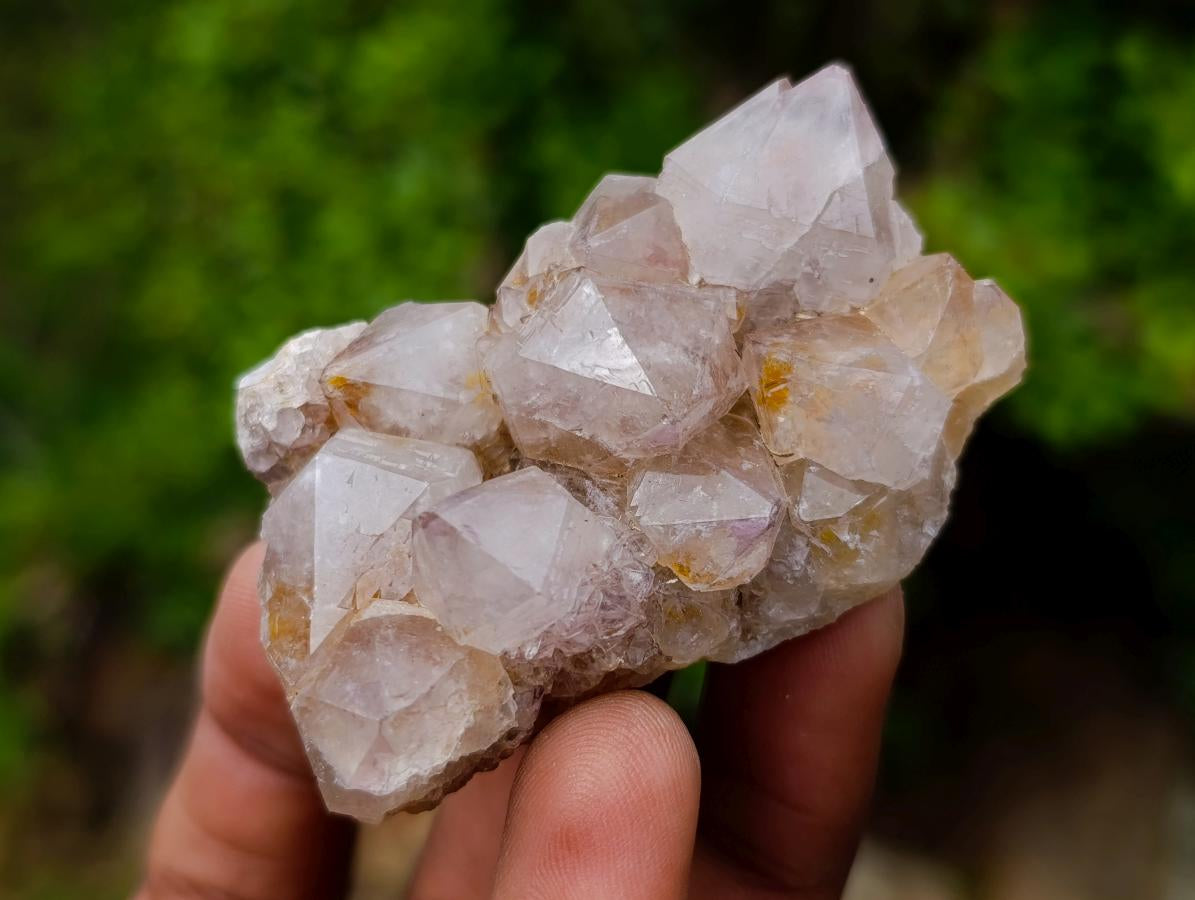 Natural Mix of Spirit Quartz Crystals x 35 From Boekenhouthoek, South Africa