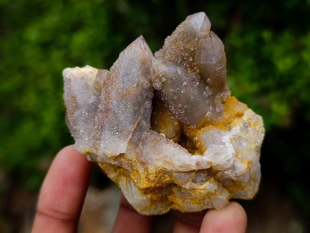 Natural Mix of Spirit Quartz Crystals x 35 From Boekenhouthoek, South Africa