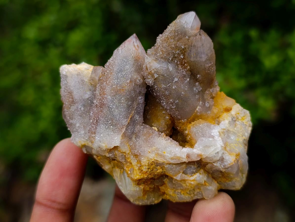 Natural Mix of Spirit Quartz Crystals x 35 From Boekenhouthoek, South Africa