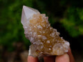 Natural Mix of Spirit Quartz Crystals x 35 From Boekenhouthoek, South Africa