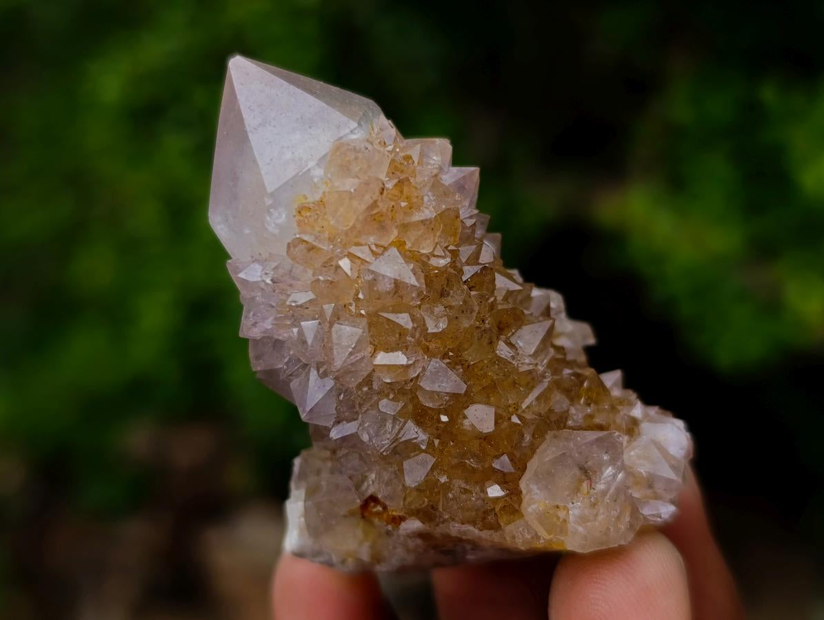 Natural Mix of Spirit Quartz Crystals x 35 From Boekenhouthoek, South Africa