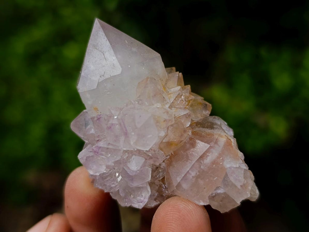 Natural Mix of Spirit Quartz Crystals x 35 From Boekenhouthoek, South Africa