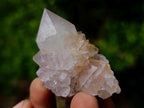 Natural Mix of Spirit Quartz Crystals x 35 From Boekenhouthoek, South Africa