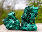 Natural Silky Malachite Specimens x 12 From Kasompe, Congo