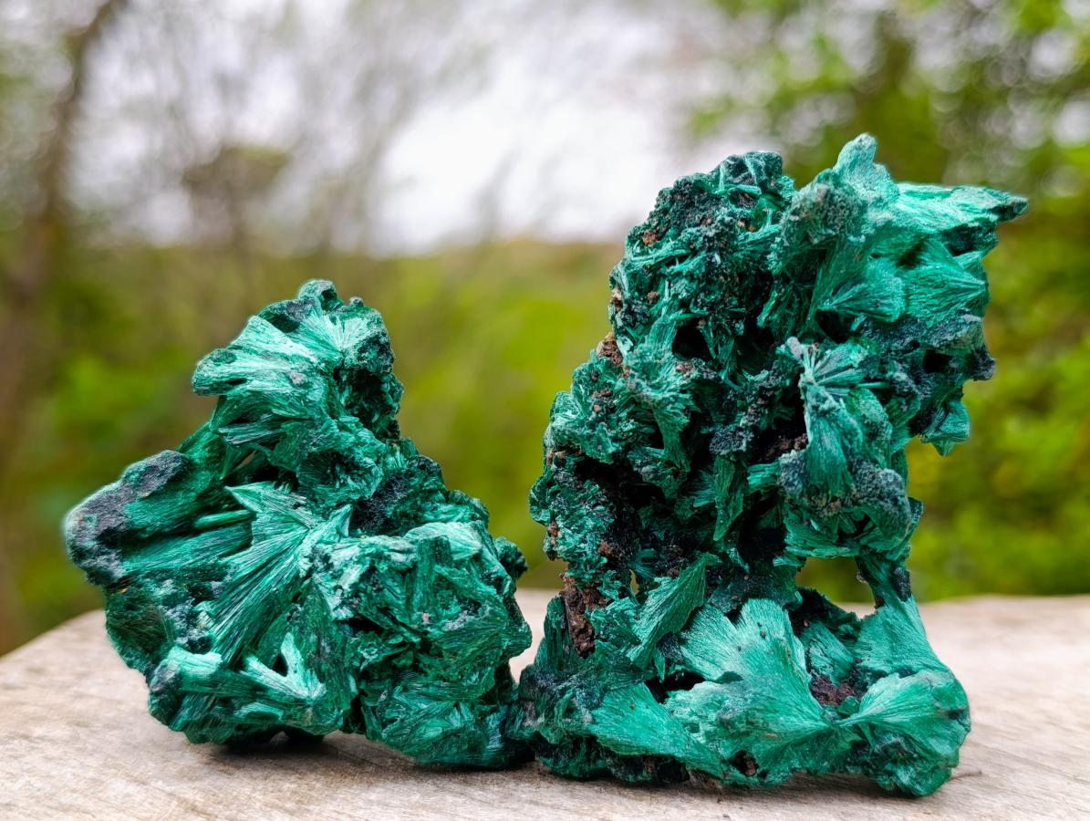Natural Silky Malachite Specimens x 12 From Kasompe, Congo