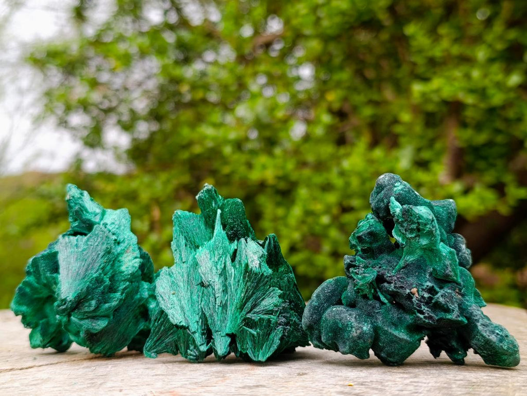 Natural Silky Malachite Specimens x 12 From Kasompe, Congo