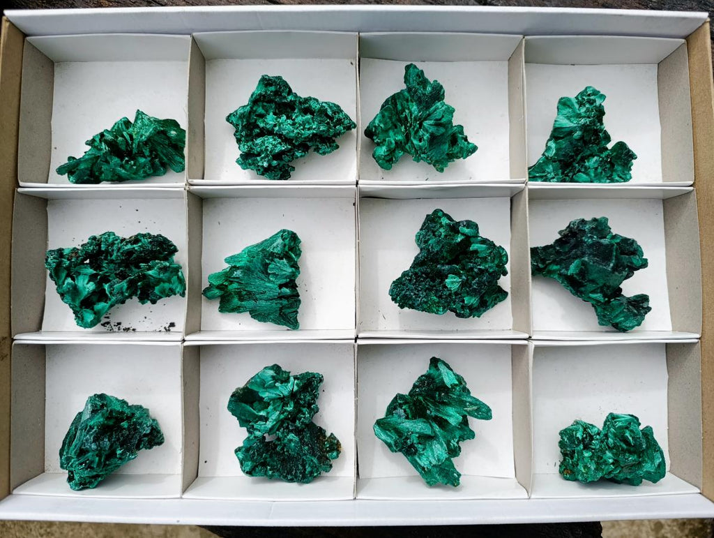 Natural Silky Malachite Specimens x 12 From Kasompe, Congo