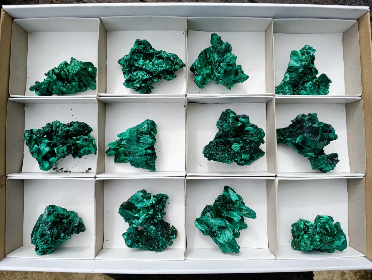 Natural Silky Malachite Specimens x 12 From Kasompe, Congo