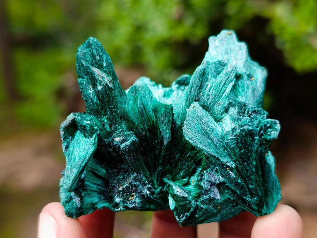 Natural Silky Malachite Specimens x 12 From Kasompe, Congo